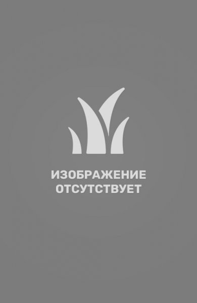 Рододендрон якушиманский Болькен Кронжувел